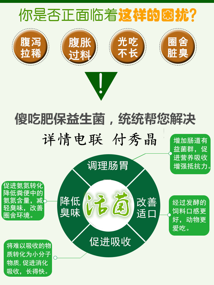 猪用浓缩饲料最新动态与全面解析