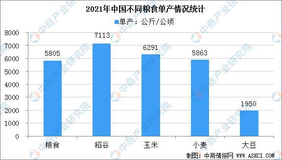 粮食作物种子最新信息概览与全面解读市场趋势